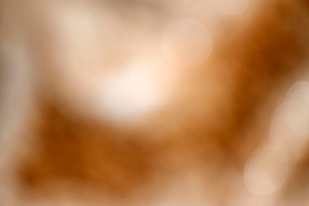 Yellowstone, WY 2016 — golden brown bokeh with soft white orbs