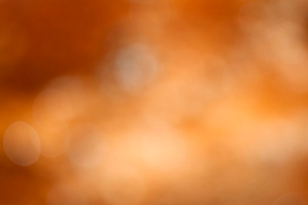 Yellowstone, WY 2016 — warm orange bokeh with glowing orbs