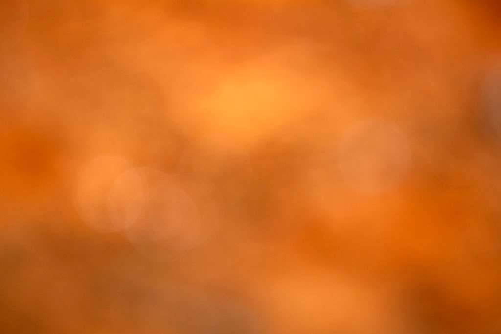 Yellowstone, WY 2016 — rich orange bokeh with soft highlights