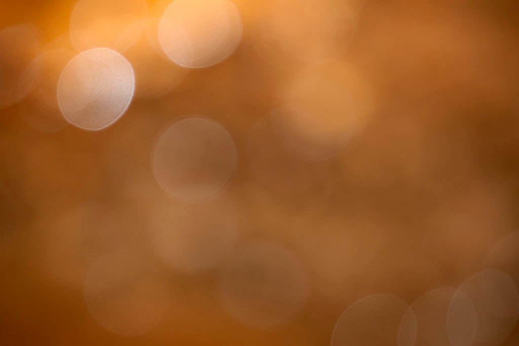 Yellowstone, WY 2016 — golden orange bokeh with white lens orbs