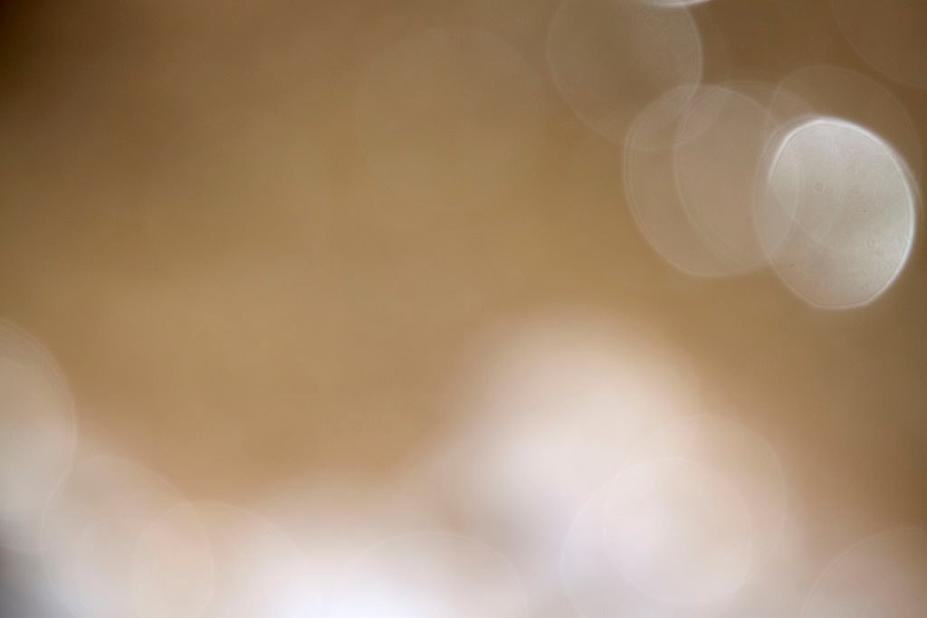 Yellowstone, WY 2016 — golden tan bokeh abstract