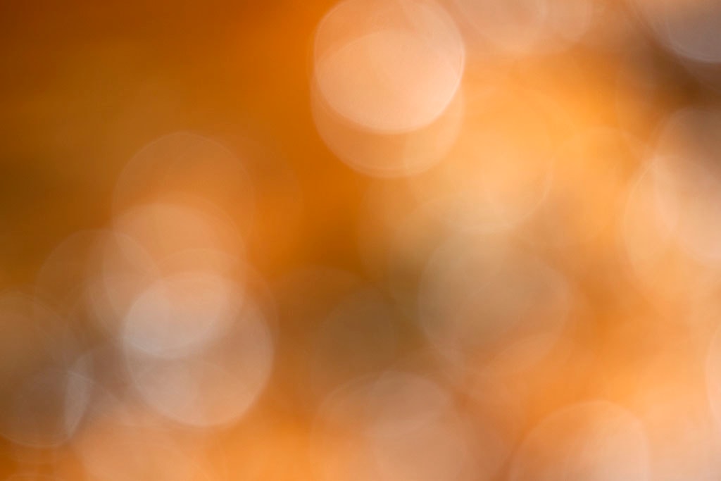 Yellowstone, WY 2016 — warm golden bokeh with large soft orbs