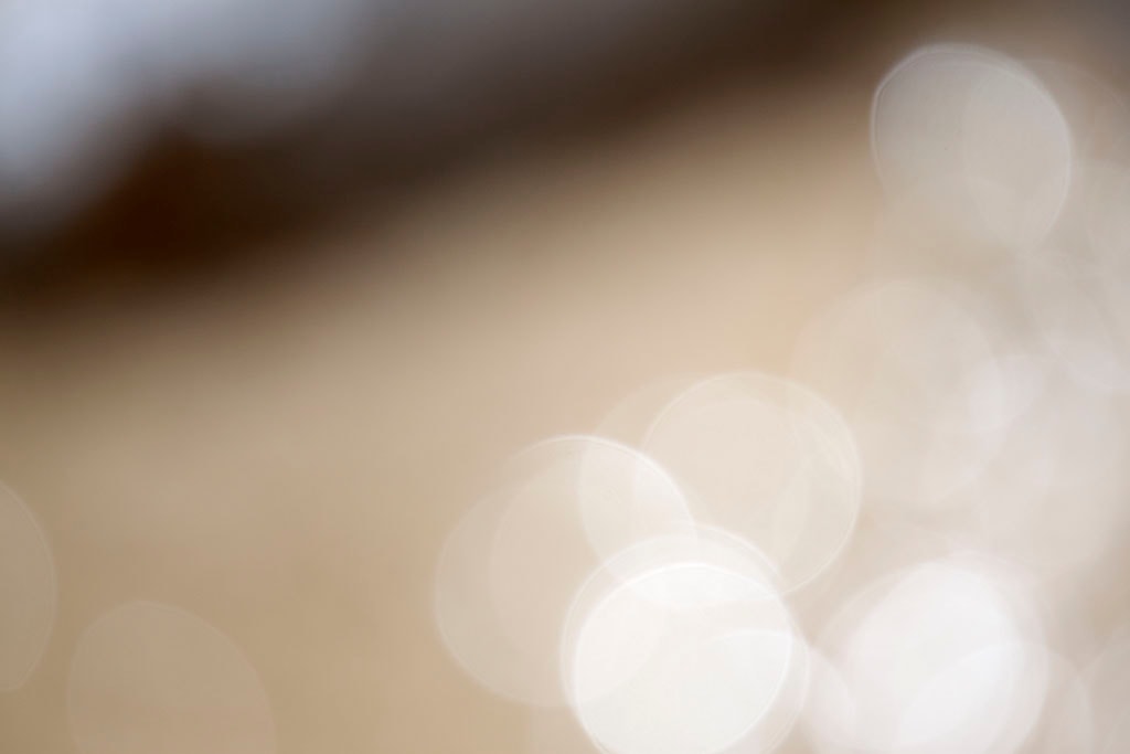 Yellowstone, WY 2016 — warm beige bokeh with dark edge