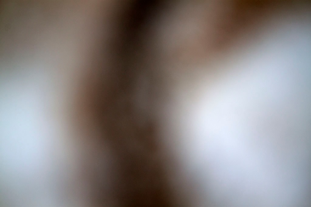 Yellowstone, WY 2016 — blurred grey white abstract with soft light