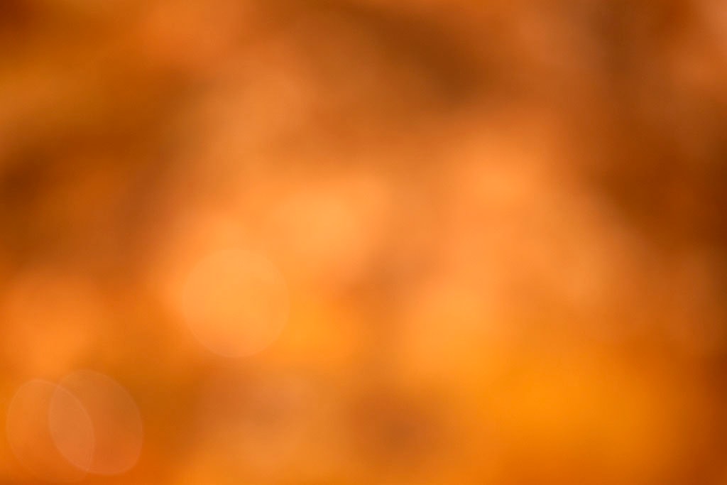 Yellowstone, WY 2016 — warm orange bokeh with soft circular orbs