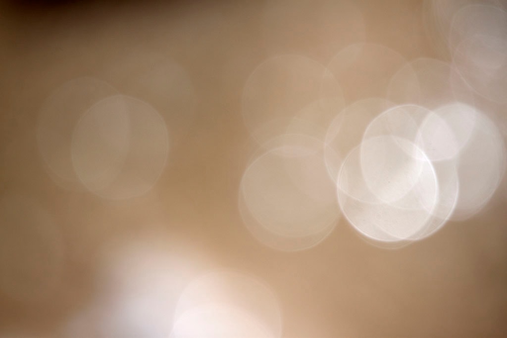Yellowstone, WY 2016 — soft cream bokeh clusters