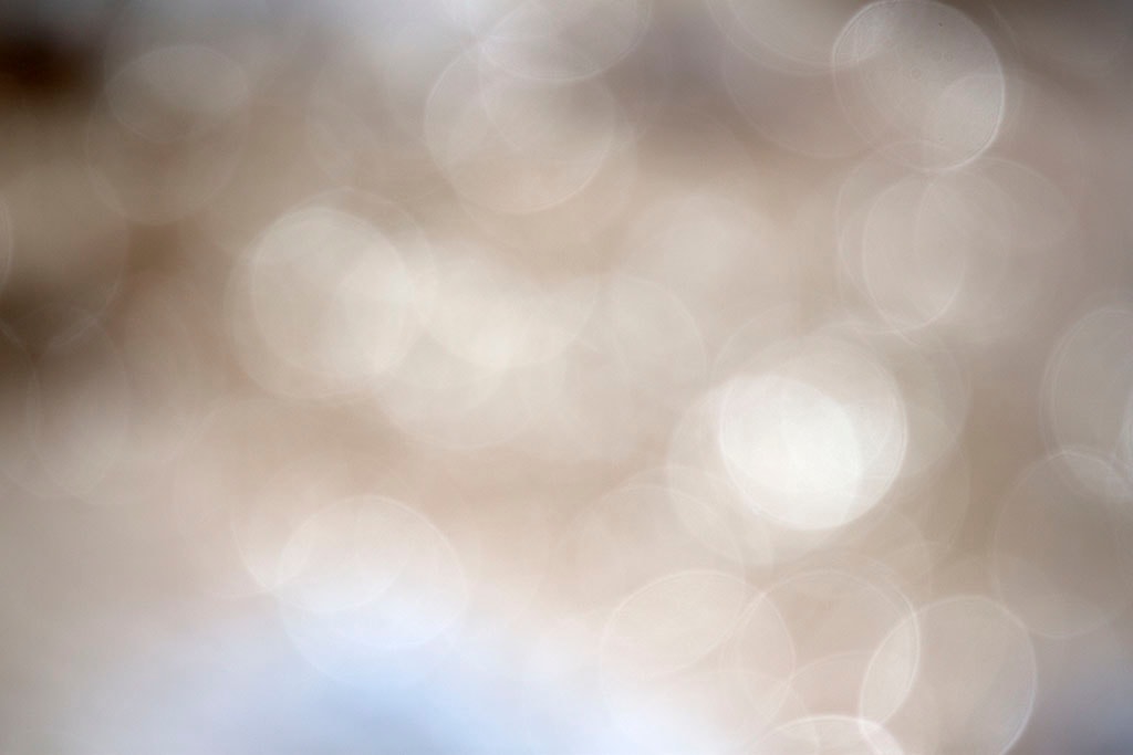 Yellowstone, WY 2016 — pale silver bokeh abstract